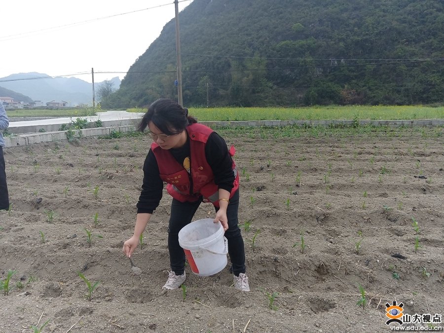 罗姝顺利完成了她的博士毕业论文答辩